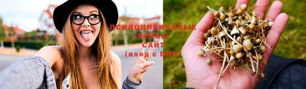 a pvp Волосово
