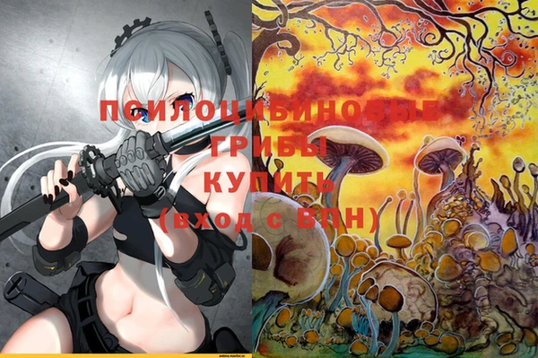 a pvp Волосово
