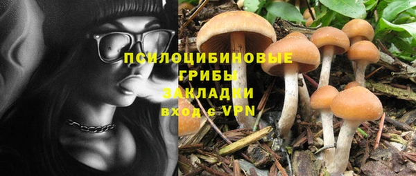 альфа пвп Володарск