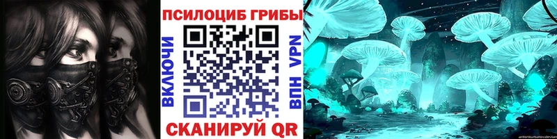 купить   Гвардейск  Псилоцибиновые грибы ЛСД 